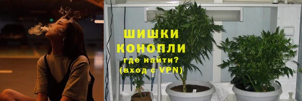 Альфа ПВП Богородицк