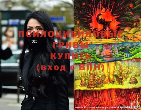 Альфа ПВП Богородицк