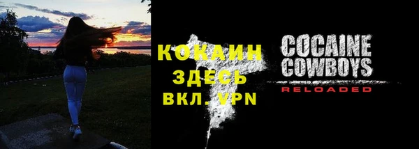 Альфа ПВП Богородицк