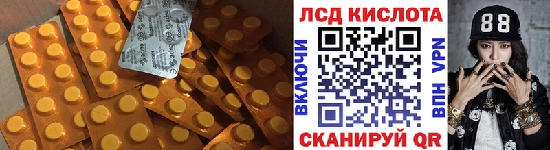 закладка  сайты даркнета клад  Лсд 25 экстази ecstasy  Медвежьегорск 